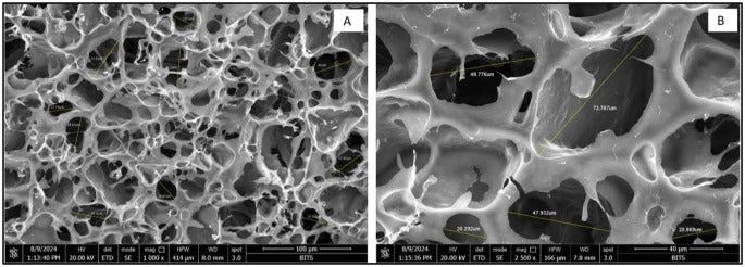 3D printed starch-alginate hydrogel scaffolds showing an open lattice pore structure under microscope imaging