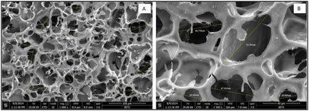 Cornstarch as Bioink: The 3D-Printable Gel That Makes Skin Scaffolds and Chewable Pills