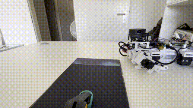 Cubic Doggo 06R, a homemade 12-DOF four-legged 3D-printed robot dog walking
