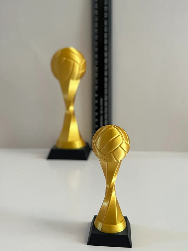 Volleyball Trophy Sports Award – Award Display