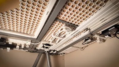 Underware Ultimate Cable Management System – Cable Organizer
