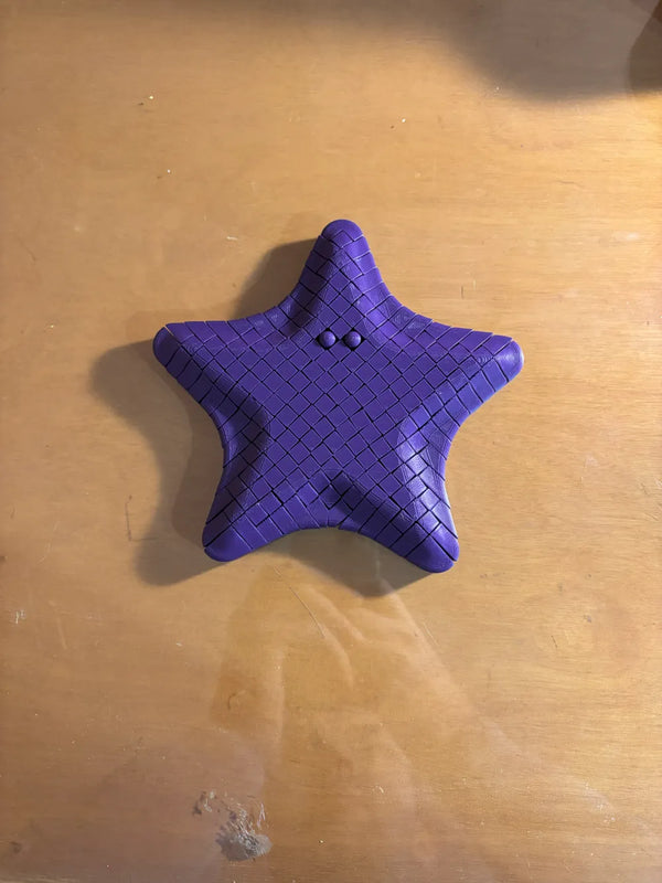 Starfish Flexi Articulated Articulated Star – Flexible Toy