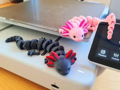 Articulated Axolotl Multicolor Cute Reptile – Flexible Toy