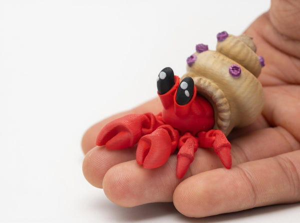 Little Articulated Hermit Crab